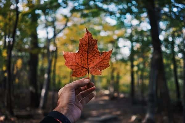 how-far-north-can-you-drive-in-canada-new-canadian-life