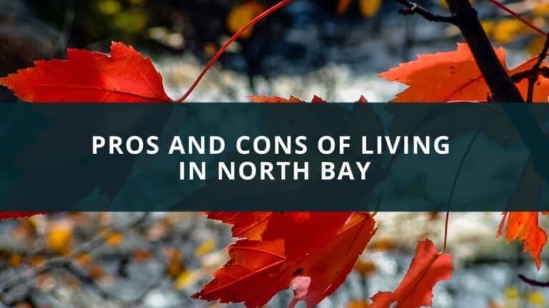 Vivere In Canada Pro E Contro